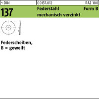 1000 Federscheiben DIN 137 verzinkt B 10
