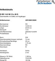 100 Schlitz Gewindestifte DIN 551 14H Stahl M12x20