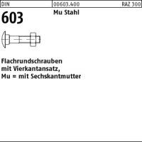 500 Schlossschrauben + Mutter DIN 603 M6x16