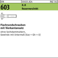 100 Schlossschrauben DIN 603 8.8 feuerverzinkt M10x25