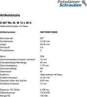 100 Halbrundschrauben + Mutter DIN 607 Stahl M12x40
