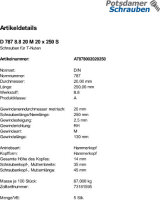 5 T - Nutenschrauben DIN 787 8.8 Stahl M20x250