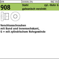 50 Verschlussschrauben DIN 908 Stahl G 3/8 A verzinkt