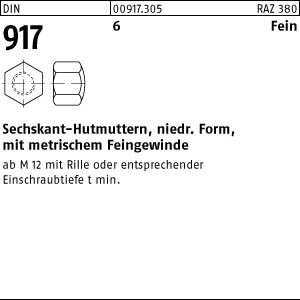 100 Feingewinde Hutmuttern DIN 917 Kl. 6 AU Stahl M10x1