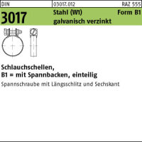 100 Schlauchschellen DIN 3017 Stahl B1 23/12 -W1 verzinkt Zn