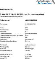 25 Flachschmiernippel DIN 3404 5.8 G 1/4 - 22 SW 22 , mit...