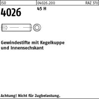 500 Inbus Gewindestifte ISO 4026 45H schwarz M2,5x5