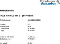 25 Inbus Gewindestifte ISO 4026 45H verzinkt M20x60