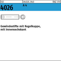 10 Edelstahl V4A Inbus Gewindestifte ISO 4026 A4 M20x40