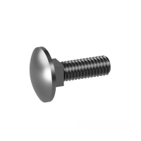 100 Schlossschrauben + Mutter DIN 603 verzinkt M6x30