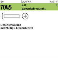 2000 Krz. Linsenkopfschrauben ISO 7045 4.8 -H verzinkt M3x10
