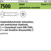 2000 Gewindefurchende Schrauben DIN 7500 St....