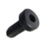 100 Innensechskant Zylinderkopfschrauben niedrig DIN 7984 8.8 schwarz M5x25