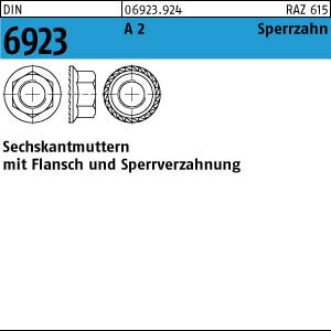 1000 Edelstahl V2A Flanschmuttern DIN 6923 A2 M6
