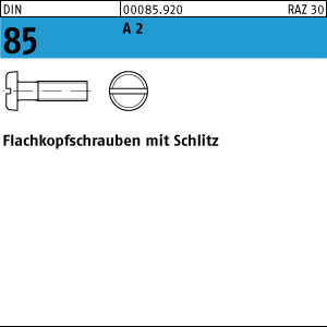 100 Edelstahl V2A Flachkopfschrauben DIN 85 A2 M6x12