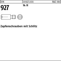100 Zapfenschrauben DIN 927 14H M6x12 Stahl