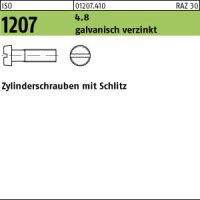 2000 Schlitz Zylinderschrauben ISO 1207 4.8 verzinkt M3x25