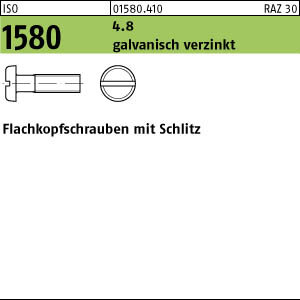 200 Flachkopfschrauben ISO 1580 4.8 M3x8 verzinkt Stahl