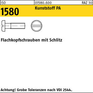 200 Flachkopfschrauben ISO 1580 M6x25 Polyamid
