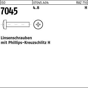 2000 Krz. Linsenkopfschrauben ISO 7045 4.8 -H M3x20