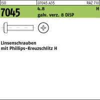 2000 Krz. Linsenkopfschrauben ISO 7045 4.8 M3x6 -H 8 DiSP...