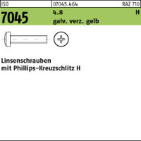 2000 Krz. Linsenkopfschrauben ISO 7045 4.8 -H gelb...