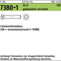 500 Torx Linsenkopfschrauben ISO 7380 -1 10.9 TX verzinkt...