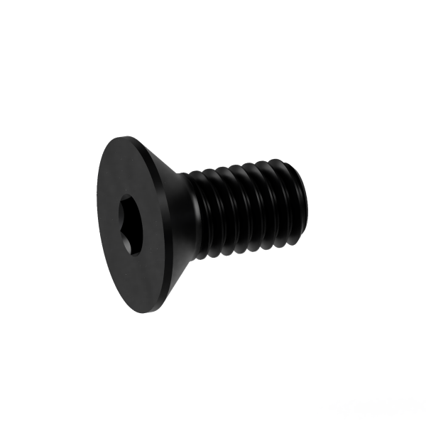 25 Innensechskant Senkkopfschrauben ISO 10642 8.8 schwarz M20x40