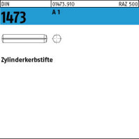 100 Edelstahl A1 Zylinderkerbstifte DIN 1473 1.4305 5x20