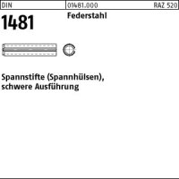 1000 Spannstifte DIN 1481 Federstahl 3x20