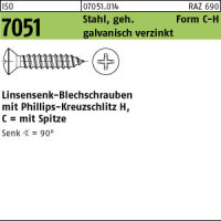 250 Linsensenkkopf Blechschrauben ISO 7051 verzinkt...