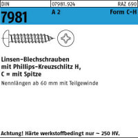100 Edelstahl V2A Linsenkopf Blechschrauben DIN 7981 A2...