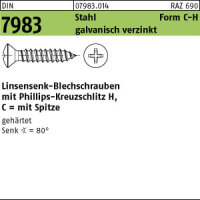 1000 Linsensenkkopf Blechschrauben DIN 7983 verzinkt...
