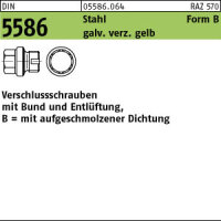 25 Verschlussschrauben DIN 5586 Stahl BG 1 A C, mit...